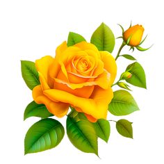 a yellow rose with green leaves on a white background