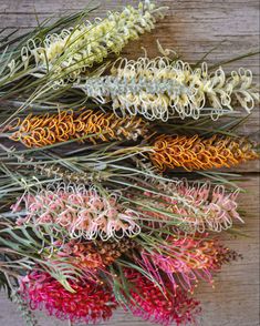 several different types of flowers sitting on top of a wooden table next to each other