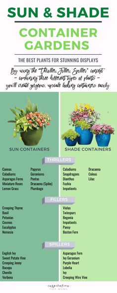 the sun and shade container gardening guide is shown in this graphic, it shows different types of plants