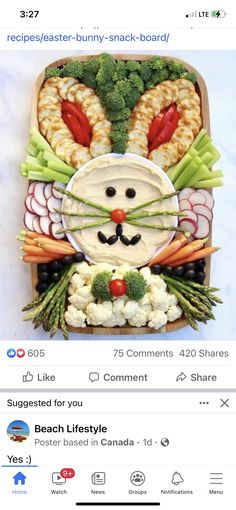 a platter filled with vegetables, veggies and a face made to look like a cat