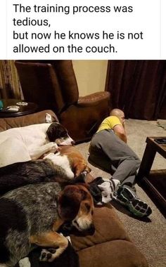 two dogs and a man are sleeping on the couch