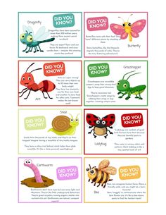 four different types of bugs and insects with words that say, did you know?