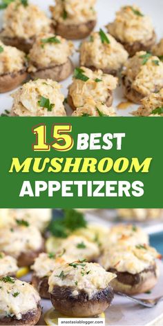 the top 15 best mushroom appetizers