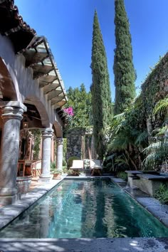 an outdoor swimming pool surrounded by trees and plants