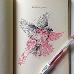 an open book with a drawing of a bird on it and a marker next to it