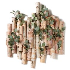 a bunch of corks with plants growing out of them on a white wall background