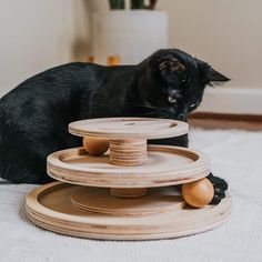 a black cat sitting on the floor next to some wooden toys