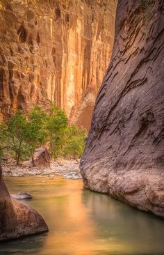 Zion National Park, Utah Zion National Park Utah, Lake Powell, North Cascades, Utah National Parks, Zion National Park, Great Smoky Mountains, Pretty Places, Places Around The World, Amazing Nature