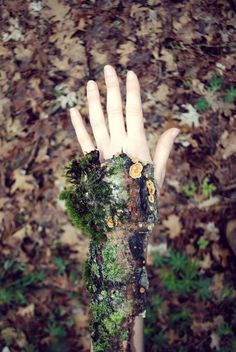 a hand with moss growing out of it and the words, hebraruma