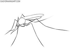 a mosquito drawing on a white paper with the words easy drawing art written below it