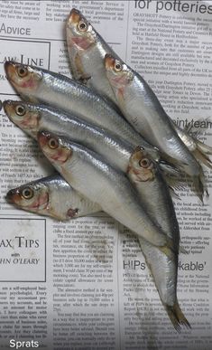 three fish laying on top of a newspaper