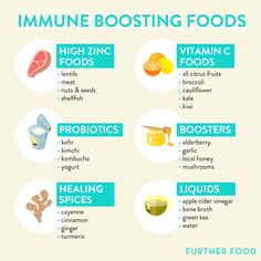 Zinc Foods, Body And Health, Stomach Bug, Immune Boosting Foods, Immune System Boosters, Holistic Health Remedies, Boost Immune System, Healing Food, Holistic Nutrition