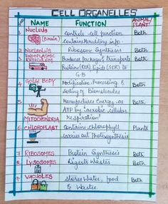 a paper with writing on it that says cell organies and the names of their functions