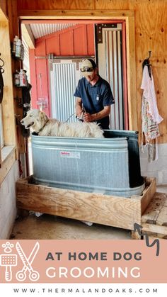 a man standing next to a dog inside of a wooden structure with the words at home dog grooming on it