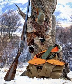 an image of hunting equipment in the snow