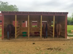 three horses are standing in their stalls