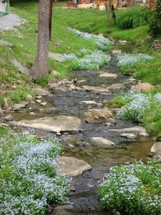 a small stream running through a lush green forest filled with trees and flowers next to a house