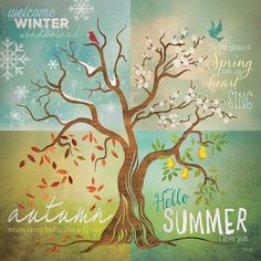 Four Seasons Tree Poster Print by Marla Rae-VARPDXMA2012 Image 1 Four Seasons Painting, Four Seasons Tree, Tree Poster, Stage Decor, Wine Photography, Welcome Winter, Seasons Art, Stock Paper, 10th Birthday