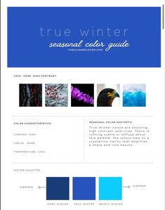 Winter Seasonal Color Palette, Season Analysis, Seasonal Color Palette