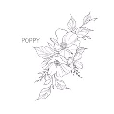 a black and white drawing of flowers with the words poppy written in it's center