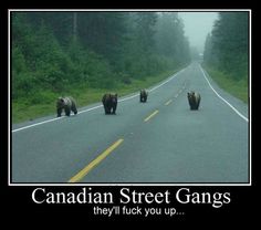 three bears are walking down the road in front of another bear that is on the side of the road