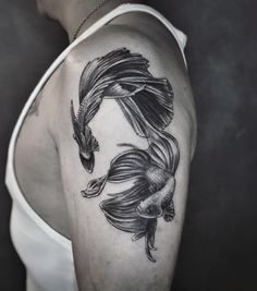 Betta Fish Tattoo, Betta fish tattoo design, women's Betta fish tattoo, Betta fish tattoo designs, simple Betta fish tattoo, watercolor betta fish tattoo, Betta fish tattoo small, black Betta fish tattoo, small Betta fish tattoo, realistic betta fish tattoo, betta fish tattoo simple, betta fish tattoo drawing, betta fish tattoo ideas, red betta fish tattoo, geometric betta fish tattoo, Betta fish tattoo traditional,Female betta fish Tattoo,Betta fish tattoo outline,Siamese fighting fish Tattoo Female Betta, Tattoo Watercolor