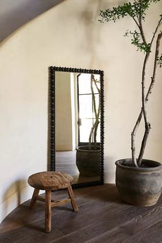 a tree in a pot next to a mirror and stool on a wooden floor near a planter