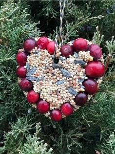 a heart shaped ornament hanging from a tree filled with berries and pine cones