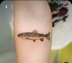 a small fish tattoo on the arm