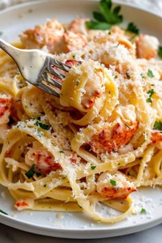 a plate of pasta with shrimp and parmesan cheese