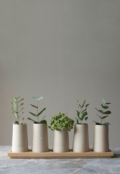 five white vases with green plants in them