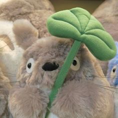 stuffed animals are lined up in a row and one has a green leaf on it's head