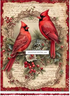 two red birds sitting on top of a christmas wreath with holly and berries around them