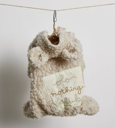 a teddy bear hanging from a clothes line with the word nothing else on it's back