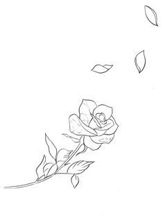 a black and white drawing of a rose with leaves flying in the air above it