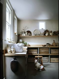 a dog sitting on the floor in front of a kitchen counter with wooden drawers and shelves