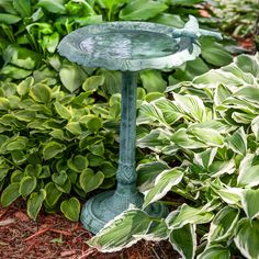 a bird bath in the middle of some plants