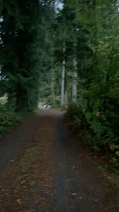 a bear walking down a dirt road in the woods with trees on either side of it