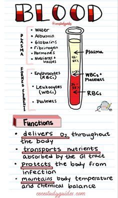 Studie Hacks, Medical Assistant Student, Studera Motivation, Medical School Life, Nursing School Motivation, Basic Anatomy And Physiology, Nurse Study Notes, Nursing Student Tips, Biology Facts