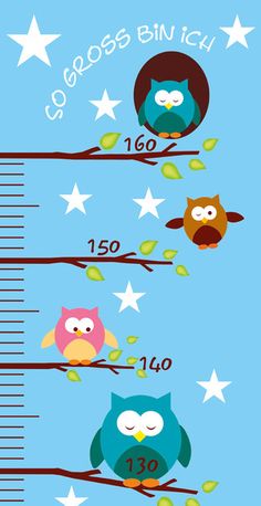 an owl growth chart with three owls sitting on the branch and stars in the sky