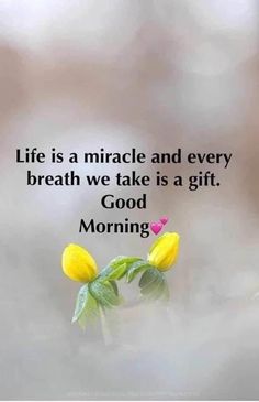 a yellow flower with the words life is a miracle and every breath we take is a gift good morning