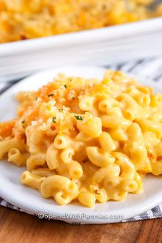 macaroni and cheese on a white plate