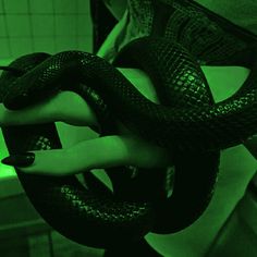 a woman's hand holding a black snake in a green lit bathroom with tile walls