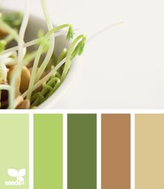 the color scheme is green, brown and white