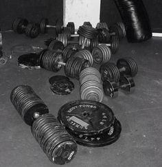 black and white photograph of gym equipment including dumbs, weight plates and other items