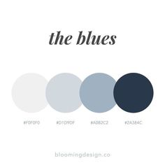 the blue color scheme with different shades