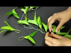 someone is cutting up some green leaves on a table with scissors and string attached to them