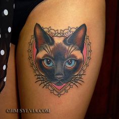 a close up of a cat's face with blue eyes on a woman's thigh