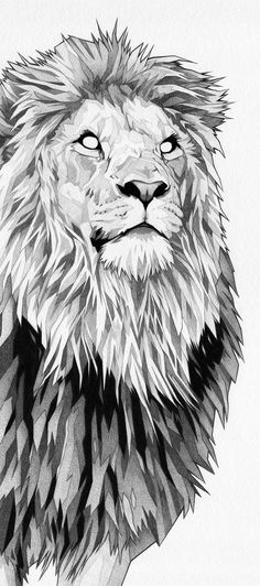 a black and white drawing of a lion