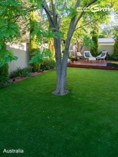 a backyard with grass and trees in it